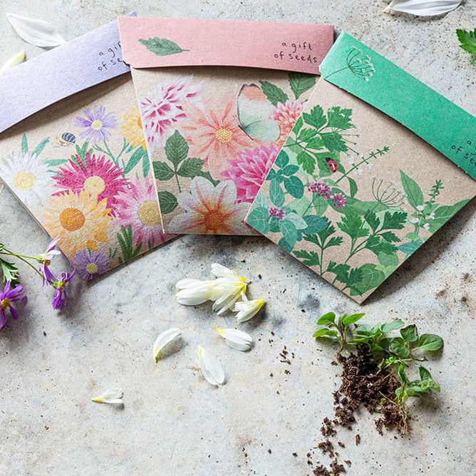 Colorful floral envelopes on a textured surface with flowers and leaves.
