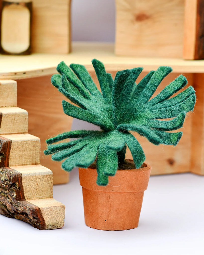 Felt Chalk Sticks Succulent Plant with Lokta paper pots Forest of Play