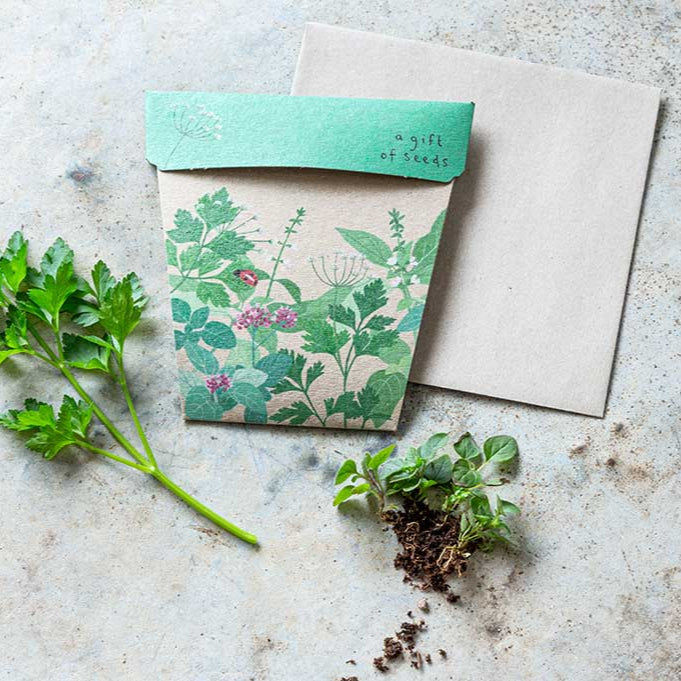 Seed packet with botanical design on a concrete surface with plants and soil.