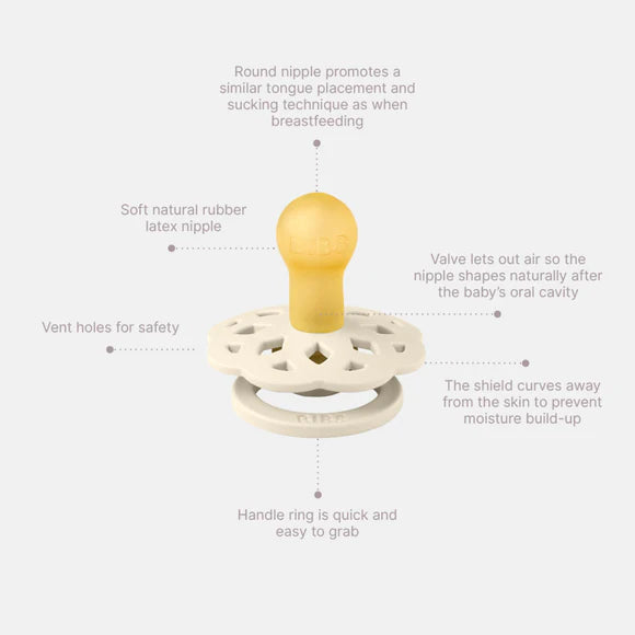 Diagram of BIBS Boheme dummie.
